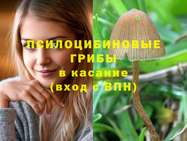 синтетический гашиш Армянск