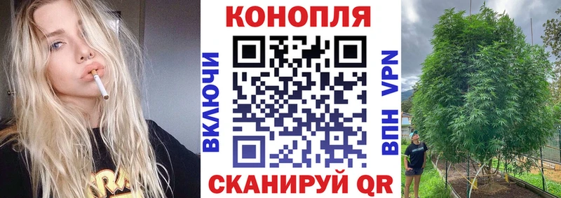 Конопля OG Kush  сайты даркнета клад  Ахтубинск 